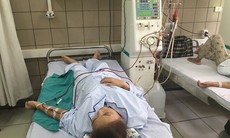Hạnh phúc được làm mẹ của những người phụ nữ ghép thận tại Bệnh viện Bạch Mai